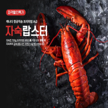 황금수산